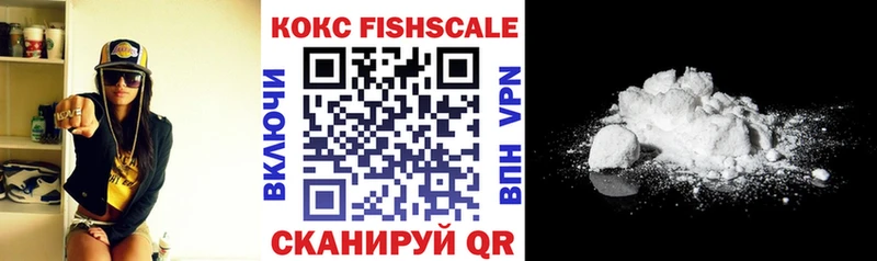ссылка на мегу вход  Городец  COCAIN Fish Scale 