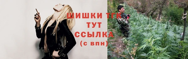 мдпв Сосновка