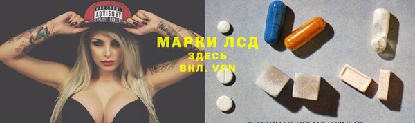 ГАЛЛЮЦИНОГЕННЫЕ ГРИБЫ Сосновый Бор
