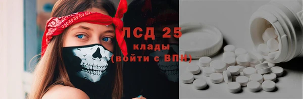 прущий лед Алзамай