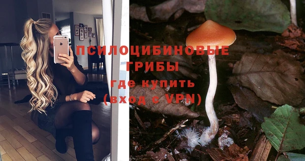 ГАЛЛЮЦИНОГЕННЫЕ ГРИБЫ Алексеевка