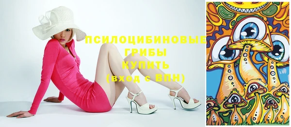 мдпв Сосновка
