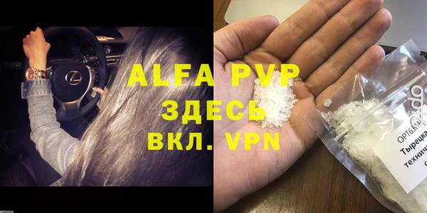 ГАЛЛЮЦИНОГЕННЫЕ ГРИБЫ Сосновый Бор