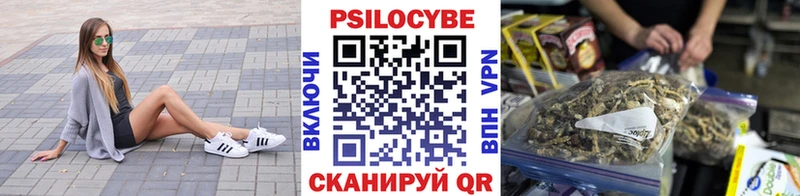 Псилоцибиновые грибы Psilocybine cubensis  закладки  Городец 